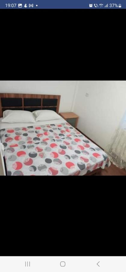 Casa Davison Apartment Targu Jiu Bagian luar foto
