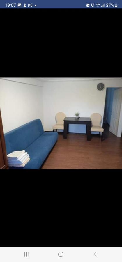 Casa Davison Apartment Targu Jiu Bagian luar foto