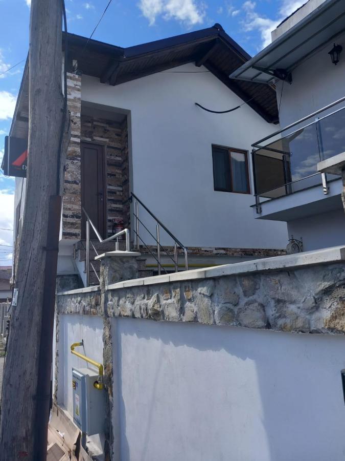 Casa Davison Apartment Targu Jiu Bagian luar foto