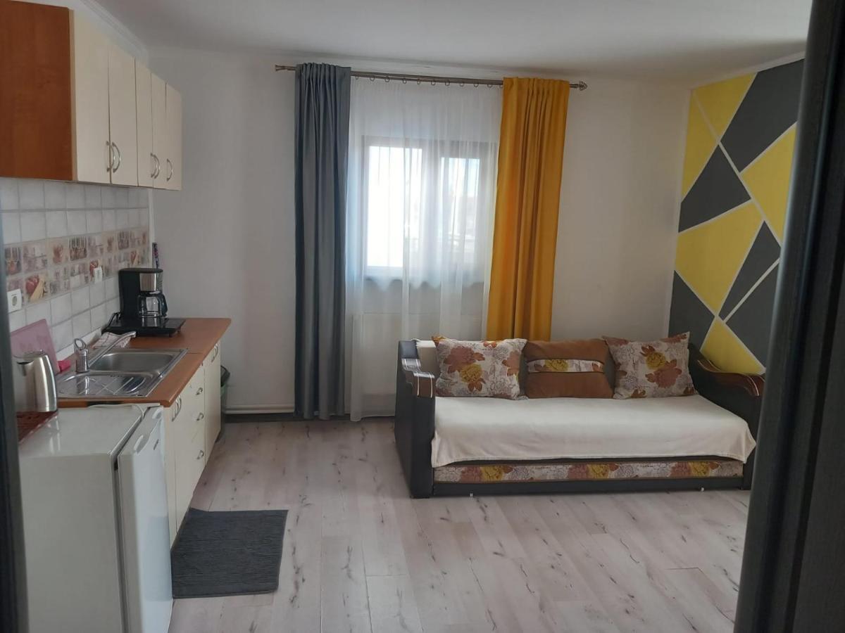 Casa Davison Apartment Targu Jiu Bagian luar foto