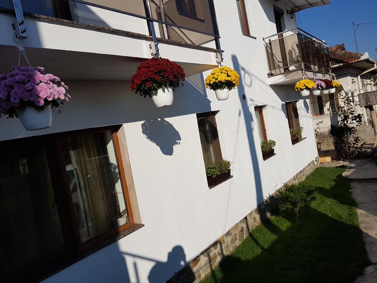 Casa Davison Apartment Targu Jiu Bagian luar foto