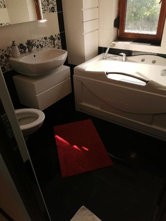 Casa Davison Apartment Targu Jiu Bagian luar foto